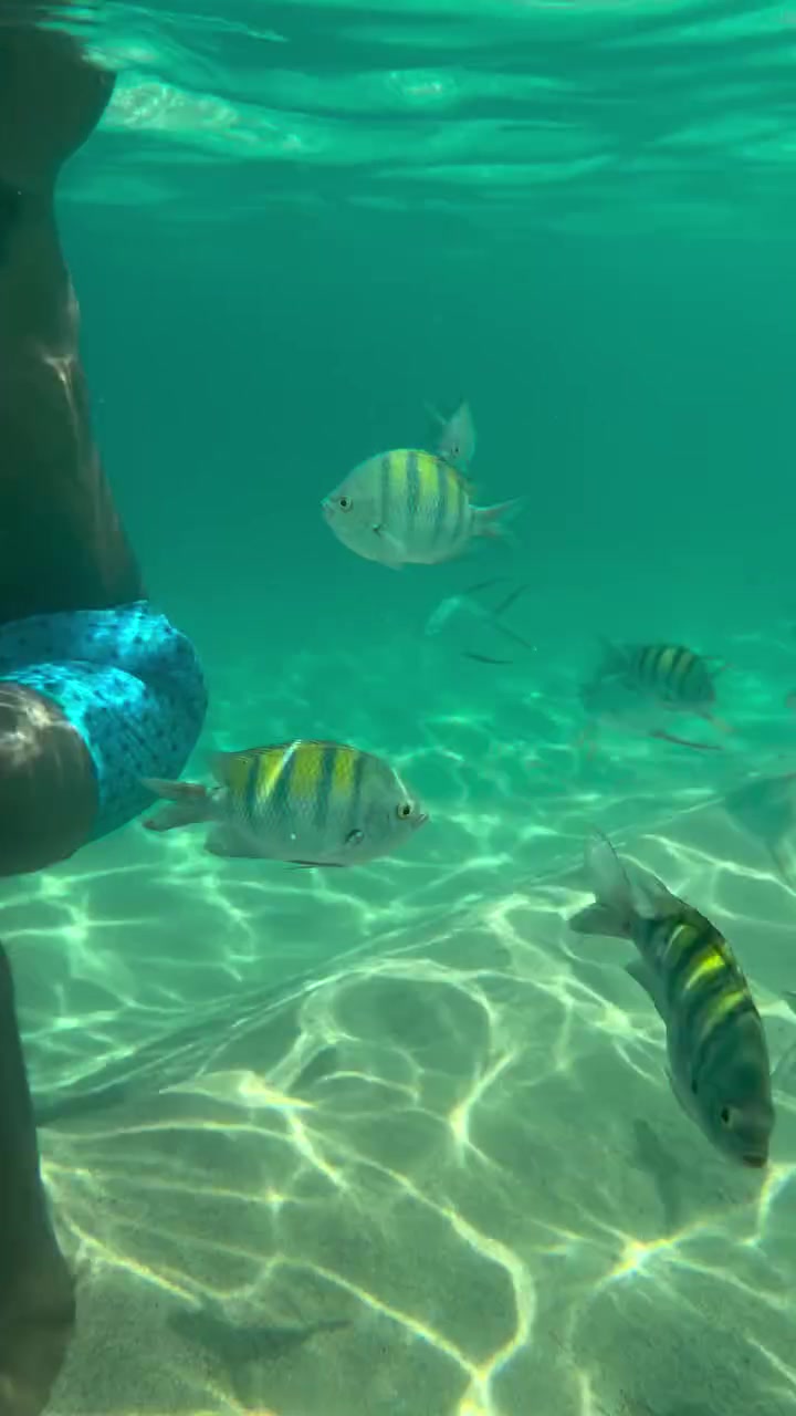 🎣不钓鱼了？乔治更新社媒晒自己浮潜与鱼共舞🐠🐟🐡